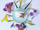 Чашка с блюдцем L’Art des Fleurs (Искусство цветов) в подарочной упаковке, форма Весенняя 2, рисунок Тигровый ирис, арт 81.33404.00.1, Чашка с блюдцем L’Art des Fleurs (Искусство цветов) в подарочной упаковке, форма Весенняя 2, рисунок Тигровый ирис, арт 81.33404.00.1,