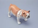 Скульптура Английский бульдог арт. 82.07579.00.1, Скульптура Английский бульдог арт. 82.07579.00.1,