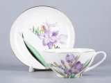 Чашка с блюдцем чайная 300 мл форма Купольная рисунок Freesia арт. 81.29659.00.1, Чашка с блюдцем чайная 300 мл форма Купольная рисунок Freesia арт. 81.29659.00.1,