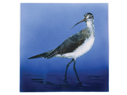 Пласт 350х350 форма Квадратный рисунок Кулики арт. 80.88950.00.1