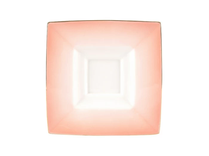 Чашка с блюдцем чайная 250 мл форма Петрополь рисунок Репейник арт. 81.27626.00.1, 