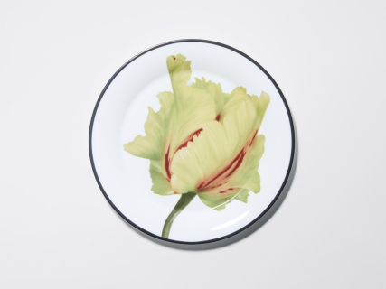 Тарелка плоская 260 мм, в подарочной упаковке, форма Юлиана, рисунок Волшебный сад II, арт. 81.34194.00.1, 