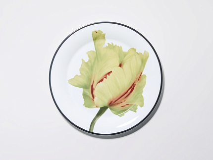 Тарелка плоская 260 мм, в подарочной упаковке, форма Юлиана, рисунок Волшебный сад II, арт. 81.34194.00.1