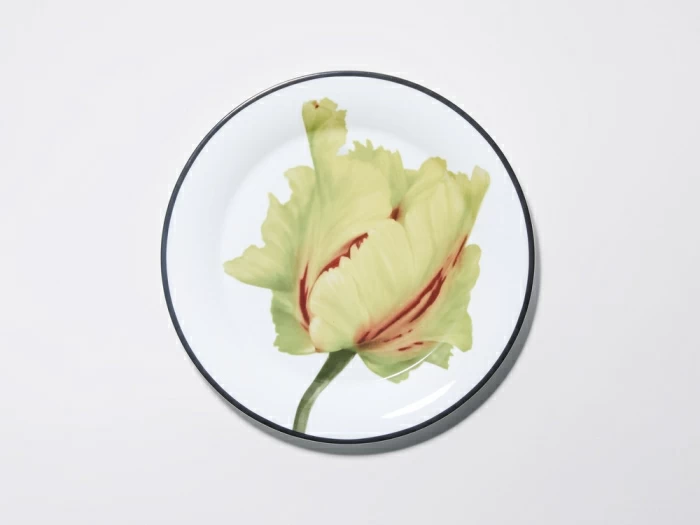 Тарелка плоская 260 мм, в подарочной упаковке, форма Юлиана, рисунок Волшебный сад II, арт. 81.34194.00.1, 