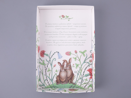 Набор салфеток 45х45 сервировочных с вышивкой Сад Алисы арт 41.00308.01, 