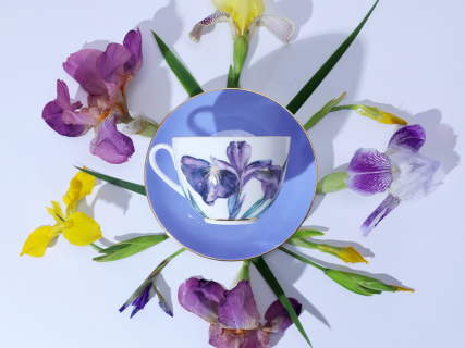 Чашка с блюдцем L’Art des Fleurs (Искусство цветов) в подарочной упаковке, форма Весенняя 2, рисунок Аметистовое пламя, арт 81.33403.00.1, 