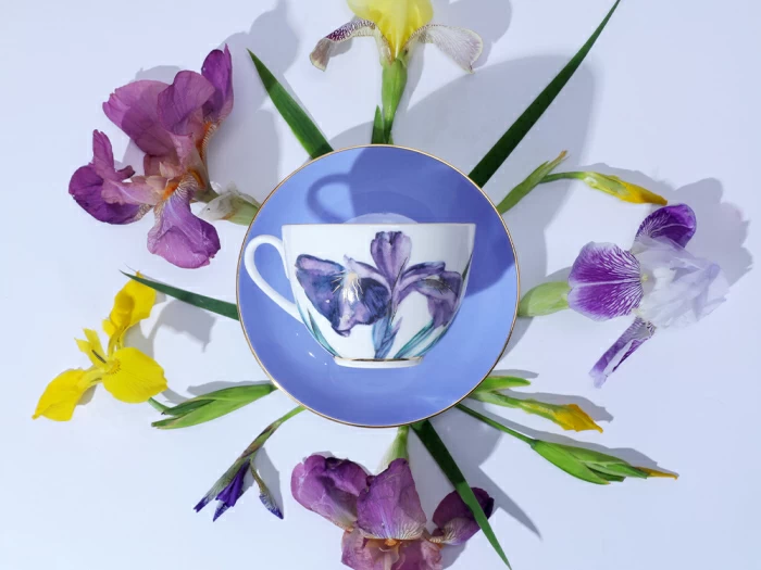 Чашка с блюдцем L’Art des Fleurs (Искусство цветов) в подарочной упаковке, форма Весенняя 2, рисунок Аметистовое пламя, арт 81.33403.00.1, 