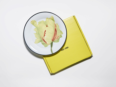 Тарелка плоская 260 мм, в подарочной упаковке, форма Юлиана, рисунок Волшебный сад II, арт. 81.34194.00.1