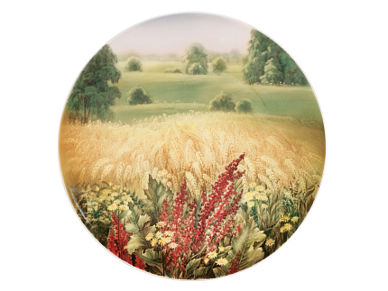 Блюдо декоративное 450 мм форма Круглая рисунок Жаркий день арт. 80.88198.00.1