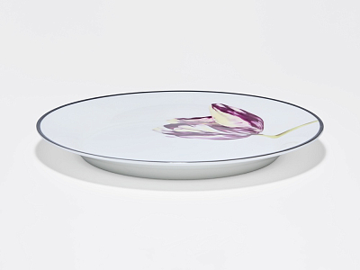 Тарелка плоская 260 мм, в подарочной упаковке, форма Юлиана, рисунок Волшебный сад IX, арт. 81.34195.00.1