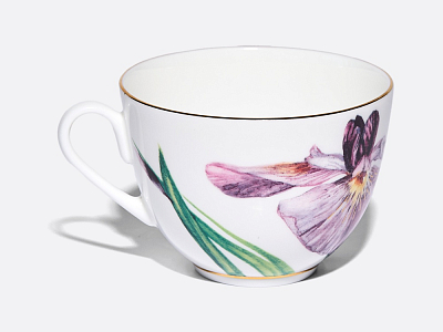 Чашка с блюдцем L’Art des Fleurs (Искусство цветов) в подарочной упаковке, форма Весенняя 2, рисунок Роузи, арт 81.33402.00.1