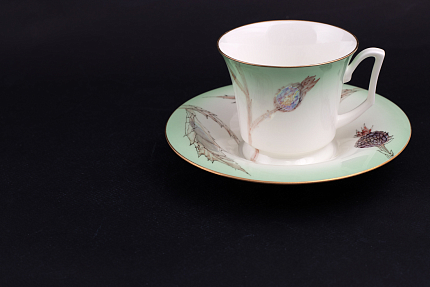 Чашка с блюдцем чайная, форма Юлия, рисунок Татьянин день арт. 41.00181.00.1