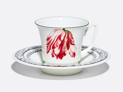 Подарочный набор чашка с блюдцем, форма Юлия рисунок Сысоев. Волшебный сад III арт. 81.30914.00.1