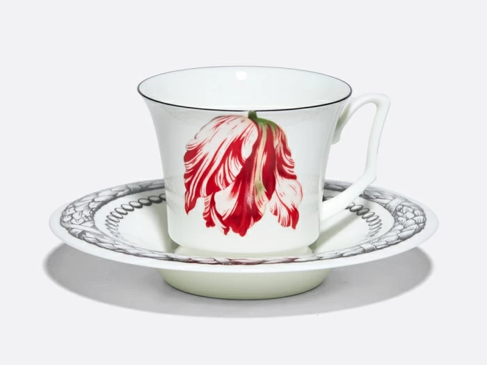 Подарочный набор чашка с блюдцем, форма Юлия рисунок Сысоев. Волшебный сад III арт. 81.30914.00.1, 