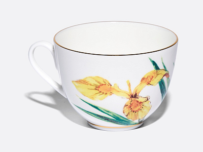 Чашка с блюдцем L’Art des Fleurs (Искусство цветов) в подарочной упаковке, форма Весенняя 2, рисунок Лесной свет, арт 81.33401.00.1