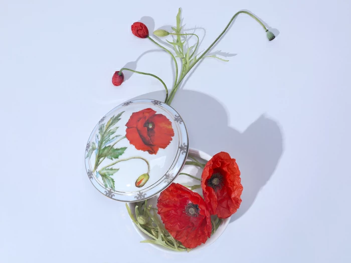 Туалетная коробочка в подарочной упаковке, форма Круглая, рисунок Мак восточный, арт 81.33191.00.1, 