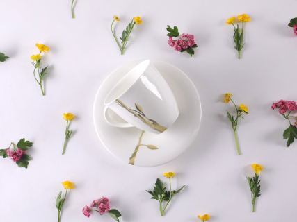 Чашка с блюдцем чайная форма Оливия рисунок Лидия арт. 81.31431.00.1, 