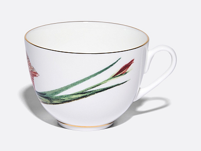Чашка с блюдцем L’Art des Fleurs (Искусство цветов) в подарочной упаковке, форма Весенняя 2, рисунок Тигровый ирис, арт 81.33404.00.1