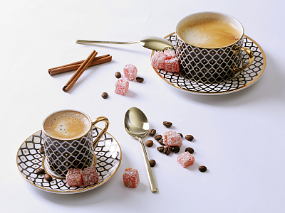 Чашка с блюдцем 250 мл форма Идиллия рисунок Неро 1, арт. 81.32141.00.1