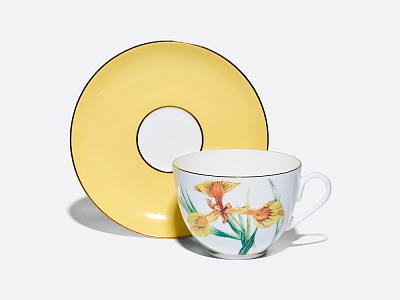 Чашка с блюдцем L’Art des Fleurs (Искусство цветов) в подарочной упаковке, форма Весенняя 2, рисунок Лесной свет, арт 81.33401.00.1