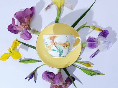 Чашка с блюдцем L’Art des Fleurs (Искусство цветов) в подарочной упаковке, форма Весенняя 2, рисунок Лесной свет, арт 81.33401.00.1
