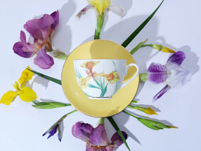 Чашка с блюдцем L’Art des Fleurs (Искусство цветов) в подарочной упаковке, форма Весенняя 2, рисунок Лесной свет, арт 81.33401.00.1, 