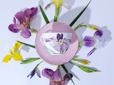 Чашка с блюдцем L’Art des Fleurs (Искусство цветов) в подарочной упаковке, форма Весенняя 2, рисунок Роузи, арт 81.33402.00.1