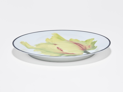 Тарелка плоская 200 мм, в подарочной упаковке, форма Юлиана, рисунок Волшебный сад II, арт. 81.34196.00.1, 