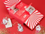 Елочные игрушки 5шт в подарочной упаковке, рисунок Гранд цирк, арт 81.34385.00.1, 