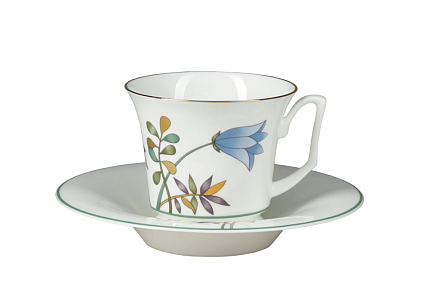 Чашка с блюдцем чайная 210 мл форма Юлия рисунок Июньская палитра арт. 81.26514.00.1