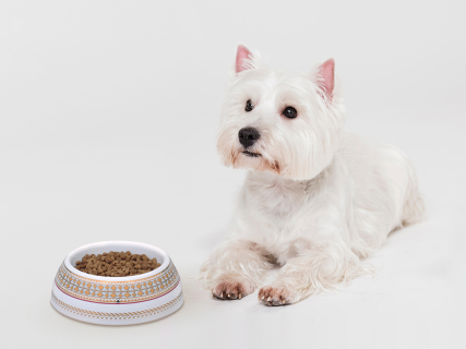 Миска для домашних животных в подарочной упаковке, рисунок Бельведер, арт 81.34253.00.1, 