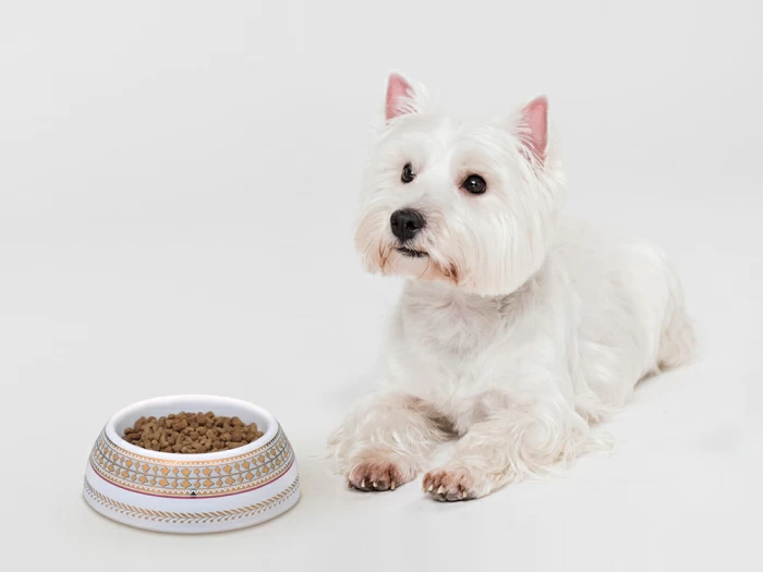 Миска для домашних животных в подарочной упаковке, рисунок Бельведер, арт 81.34253.00.1, 