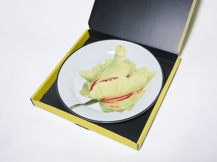 Тарелка плоская 260 мм, в подарочной упаковке, форма Юлиана, рисунок Волшебный сад II, арт. 81.34194.00.1, 