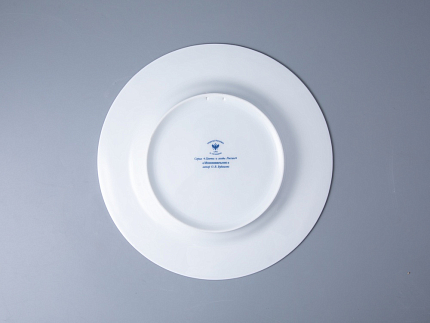 Тарелка декоративная 270 мм в подарочной упаковке форма Европейская рисунок Можжевельник ароматный, арт. 81.33952.00.1