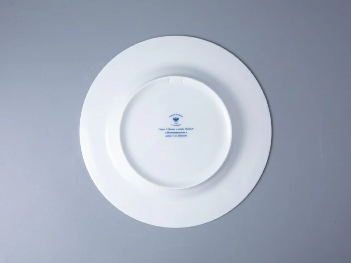 Тарелка декоративная 270 мм в подарочной упаковке форма Европейская рисунок Можжевельник ароматный, арт. 81.33952.00.1, 