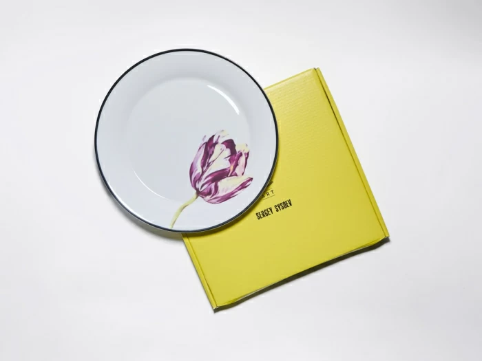 Тарелка плоская 260 мм, в подарочной упаковке, форма Юлиана, рисунок Волшебный сад IX, арт. 81.34195.00.1, 