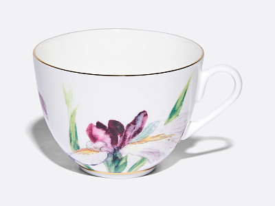 Чашка с блюдцем L’Art des Fleurs (Искусство цветов) в подарочной упаковке, форма Весенняя 2, рисунок Роузи, арт 81.33402.00.1