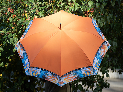 Зонт-трость рисунок Триумф и обаяние Оранжевый арт. 41.00191.02