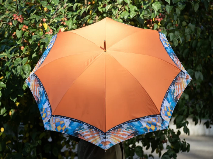 Зонт-трость рисунок Триумф и обаяние Оранжевый арт. 41.00191.02, 