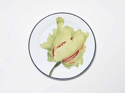 Тарелка плоская 200 мм, в подарочной упаковке, форма Юлиана, рисунок Волшебный сад II, арт. 81.34196.00.1