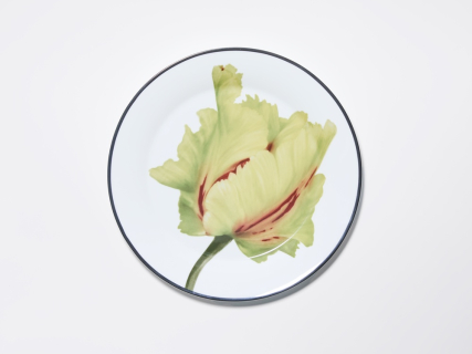 Тарелка плоская 200 мм, в подарочной упаковке, форма Юлиана, рисунок Волшебный сад II, арт. 81.34196.00.1, 