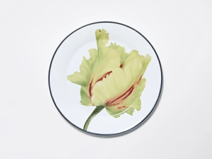 Тарелка плоская 200 мм, в подарочной упаковке, форма Юлиана, рисунок Волшебный сад II, арт. 81.34196.00.1, 