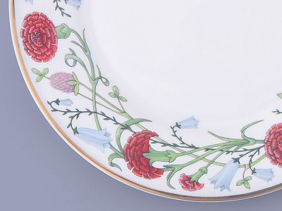 Тарелка плоская 270 мм форма Стандартная-2 рисунок Сад Алисы, арт. 80.47613.00.1