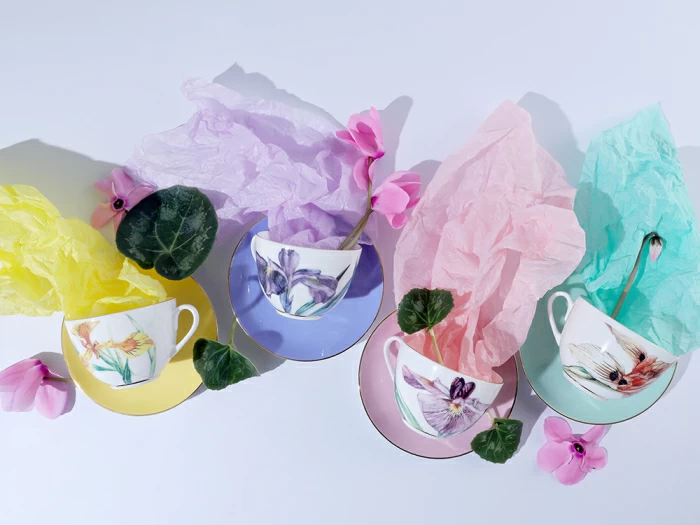 Чашка с блюдцем L’Art des Fleurs (Искусство цветов) в подарочной упаковке, форма Весенняя 2, рисунок Аметистовое пламя, арт 81.33403.00.1, 
