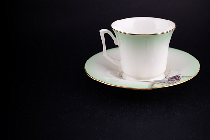 Чашка с блюдцем чайная, форма Юлия, рисунок Татьянин день арт. 41.00178.00.1