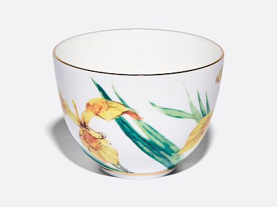 Чашка с блюдцем L’Art des Fleurs (Искусство цветов) в подарочной упаковке, форма Весенняя 2, рисунок Лесной свет, арт 81.33401.00.1