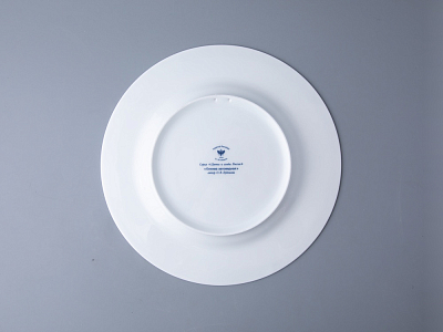 Тарелка декоративная 270 мм в подарочной упаковке форма Европейская рисунок Клюква заповедная, арт. 81.34279.00.1