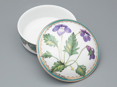 Туалетная коробочка в подарочной упаковке, форма Круглая, рисунок Фиалка надрезанная, арт 81.33190.00.1