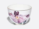 Чашка с блюдцем L’Art des Fleurs (Искусство цветов) в подарочной упаковке, форма Весенняя 2, рисунок Роузи, арт 81.33402.00.1, 