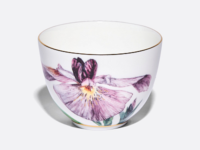 Чашка с блюдцем L’Art des Fleurs (Искусство цветов) в подарочной упаковке, форма Весенняя 2, рисунок Роузи, арт 81.33402.00.1